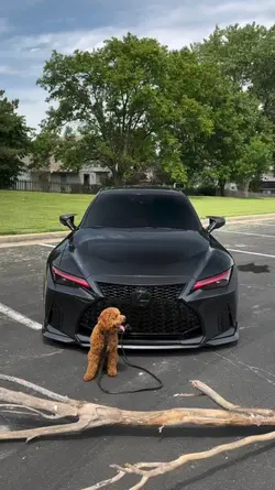 CAR EDIT