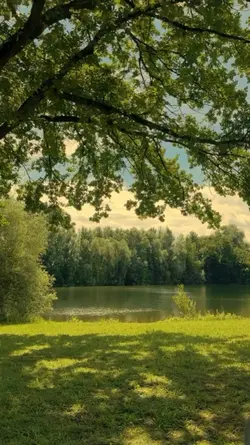 nature 