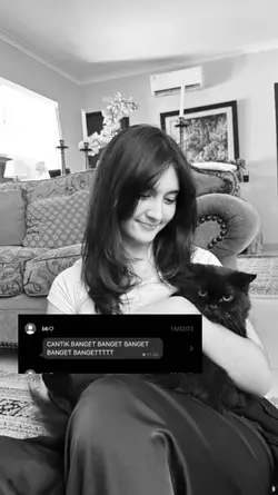ss chat