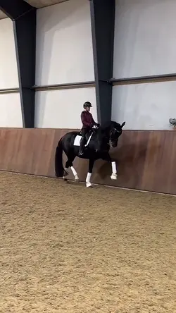 Equestrian