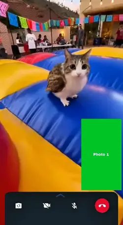 Trending Templates