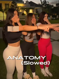 ANATOMY (Slowed)