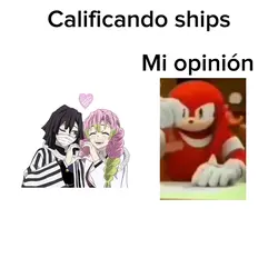 Mi opinión