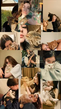 My Cat