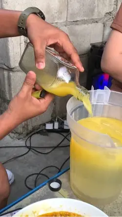 trip pang