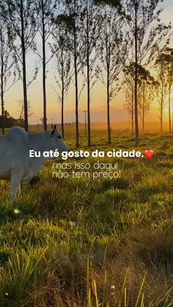Roça 