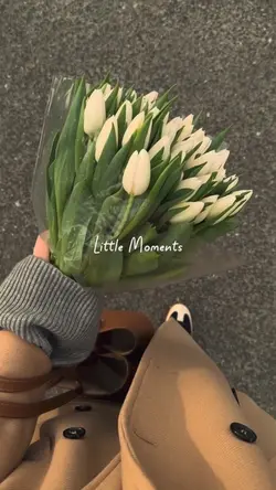 Little moments 