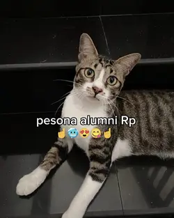 PESONA ALUMNI RP