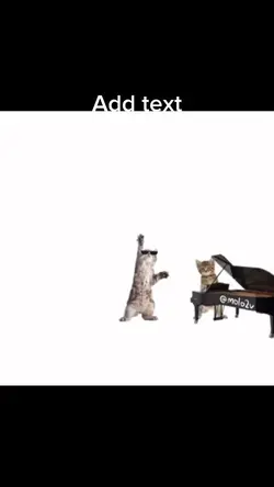 Band meme