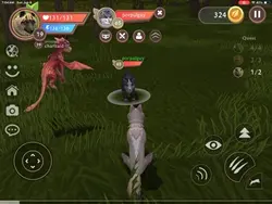 This guy was nice