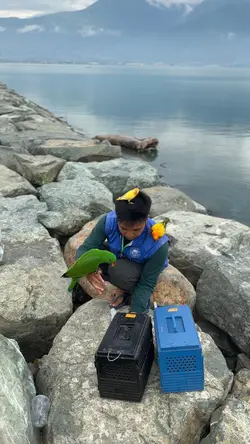 With bird🕊️
