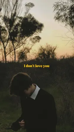 i don't love you 