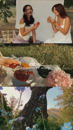 summer picnic 