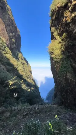 1 video 