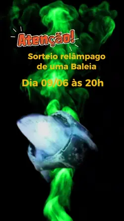 Sorteio 
