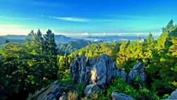 LANDSCAPE HD