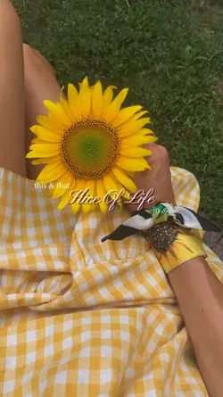 Spring moments