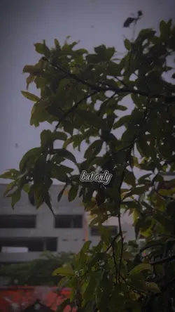 Rainy day