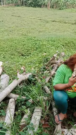 guyabano 