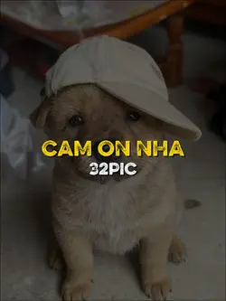 NHƯ Ở TRONG BỘ PHIM 