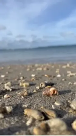朝の海