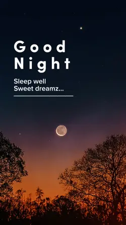 good night