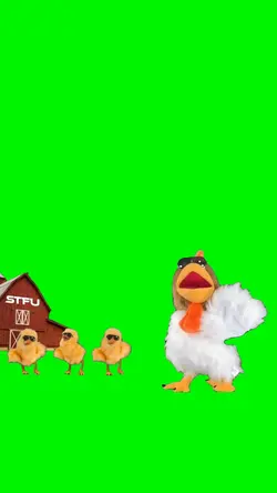 STFU DANCE