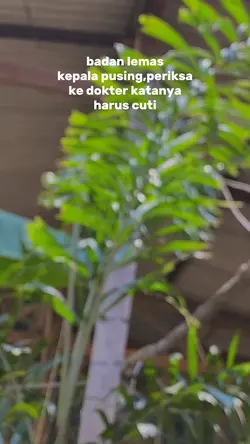 Harus cuti