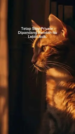 bahan sw