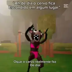 bem soft