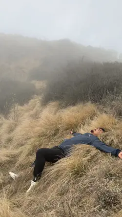 Peace | Video