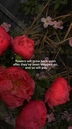 Flowers grow back🌷