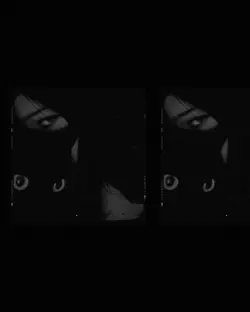 ᵍᵒᵗʰⁱᶜ ʳᵃᵛᵉ