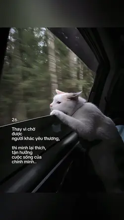 Caption + Màu