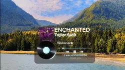 VINYL - Enchanted