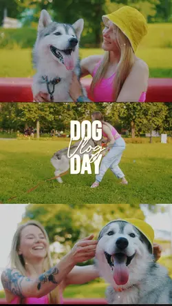 dog day