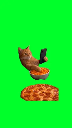 Cat eats pizza