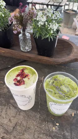 Bunny Cafe/Matcha 