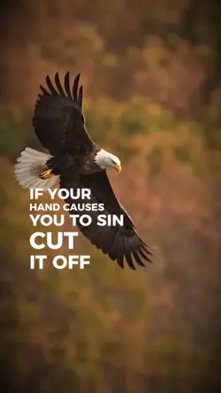 Mark 9:48-44