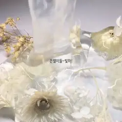아이돌그룹 홍보!