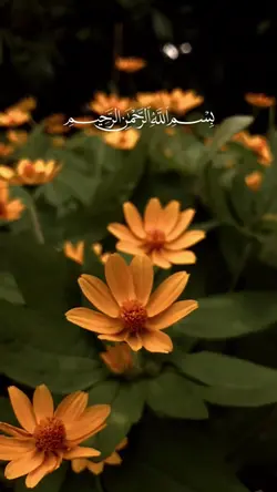 Jom amalkan