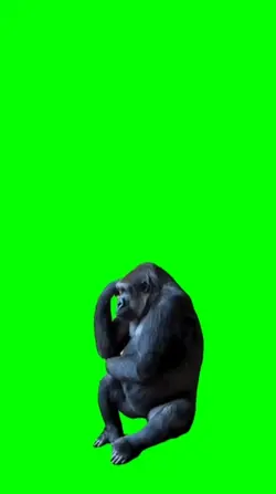 Gorila meme 