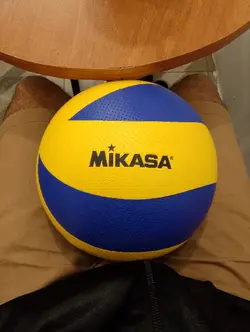 Volleyball Moment