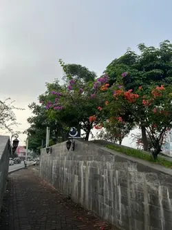 Templat kata2 