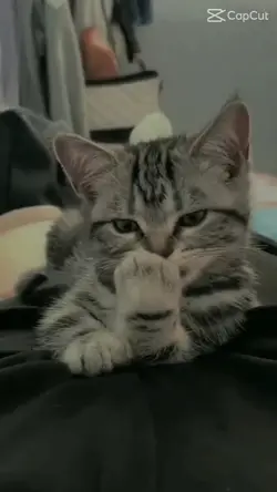 ton mois = tes ongle