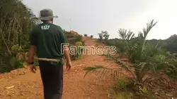 Farming