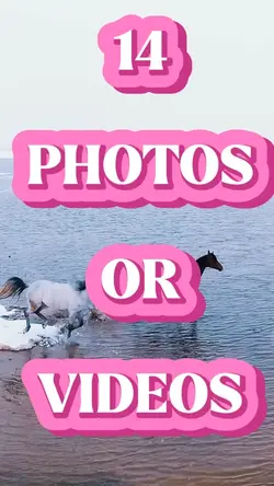 14 Videos Or Photos 