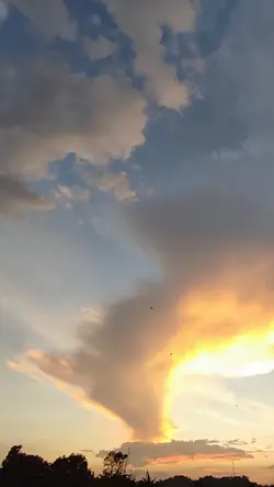 something beautiful