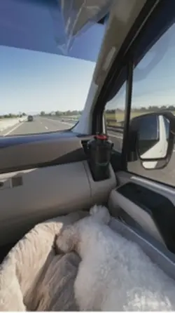 Pupventure!