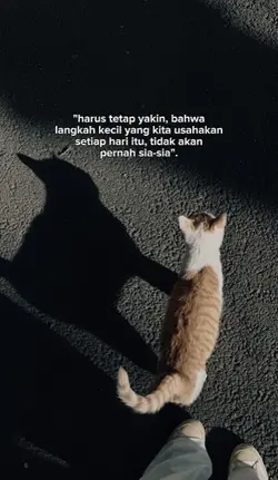 harus tetap yakin